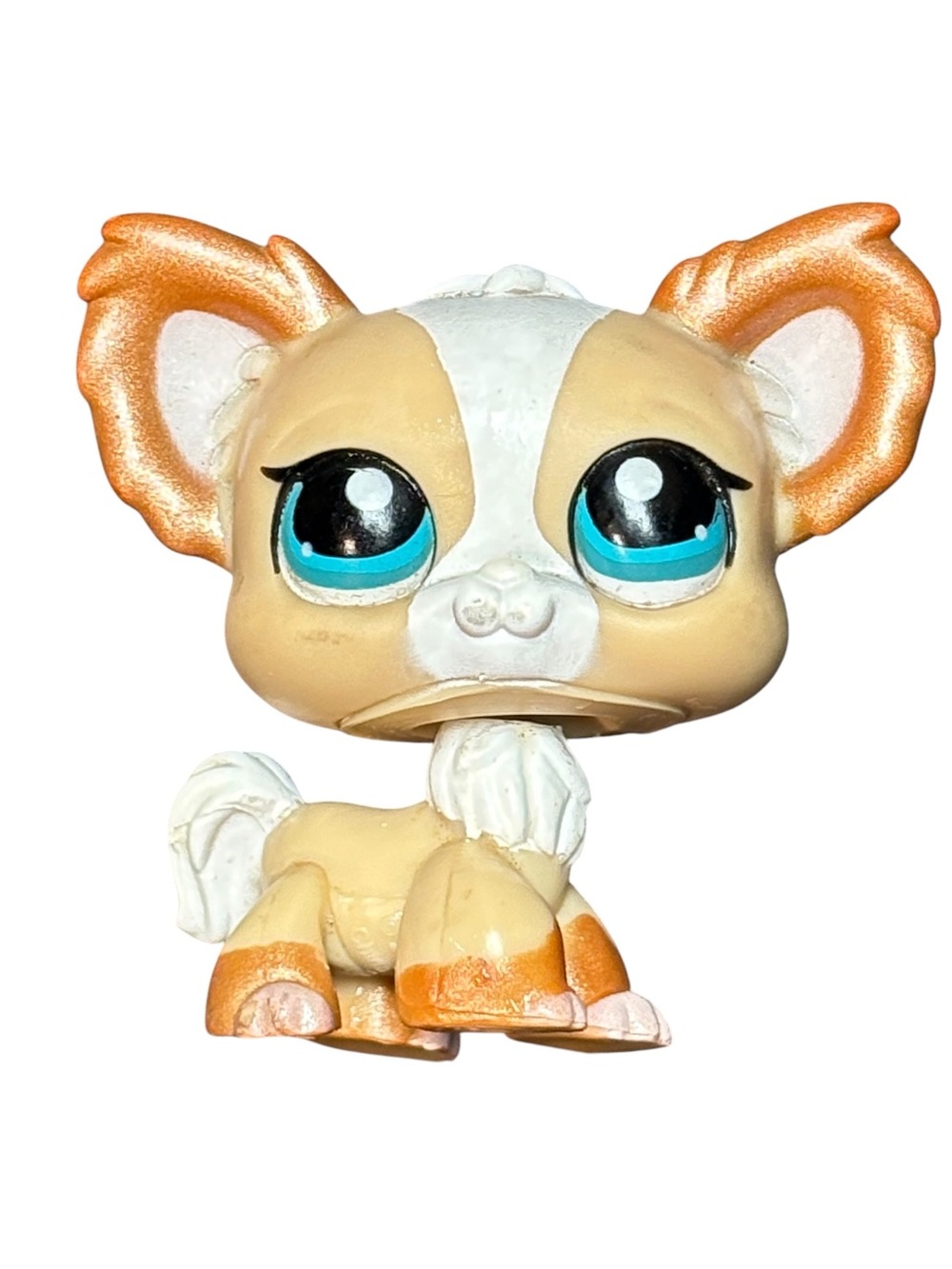 Littlest Pet Shop Chihuahua Dog #819 Collectible Toy